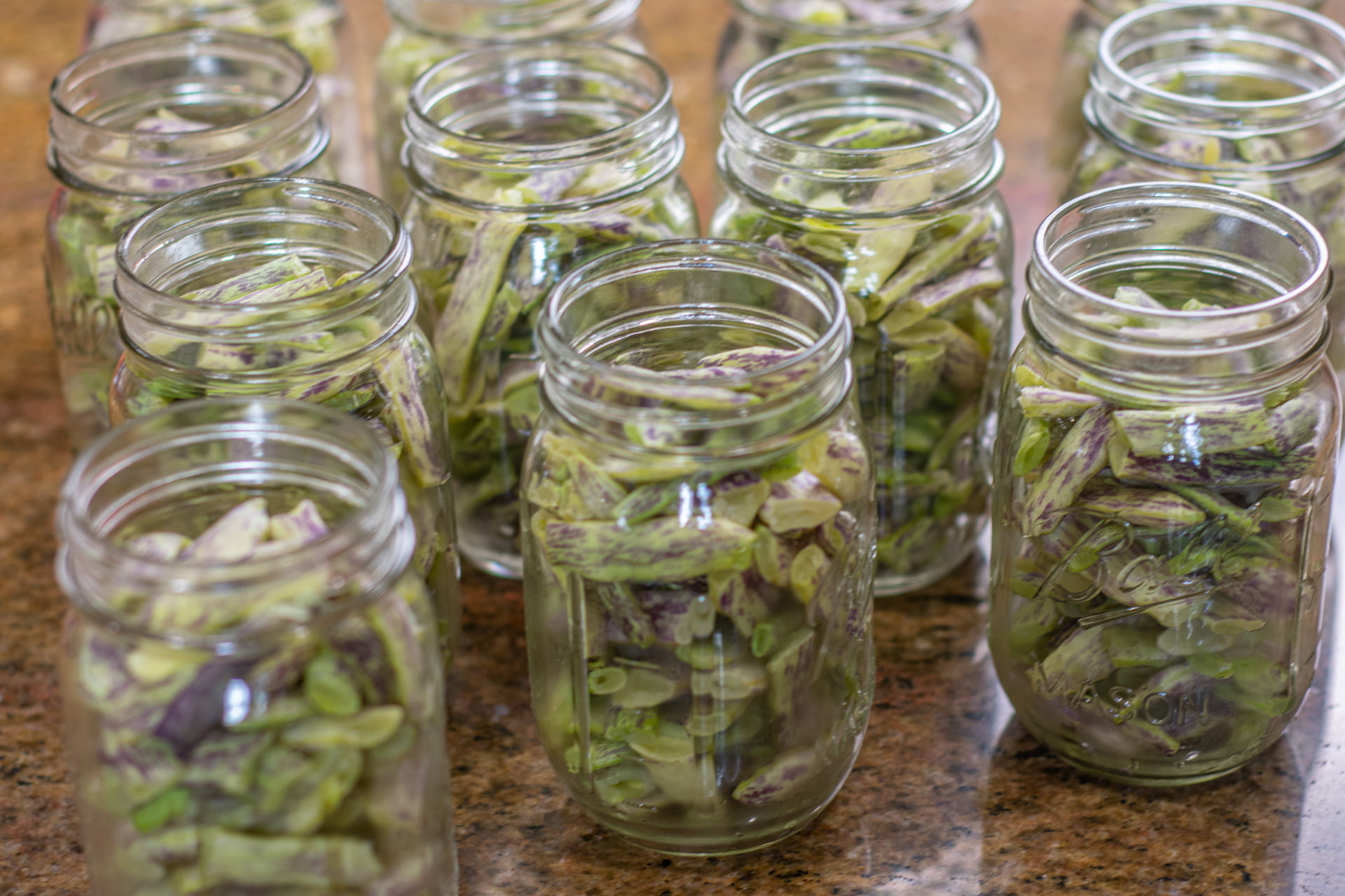 Beans in jars being prepared for canning