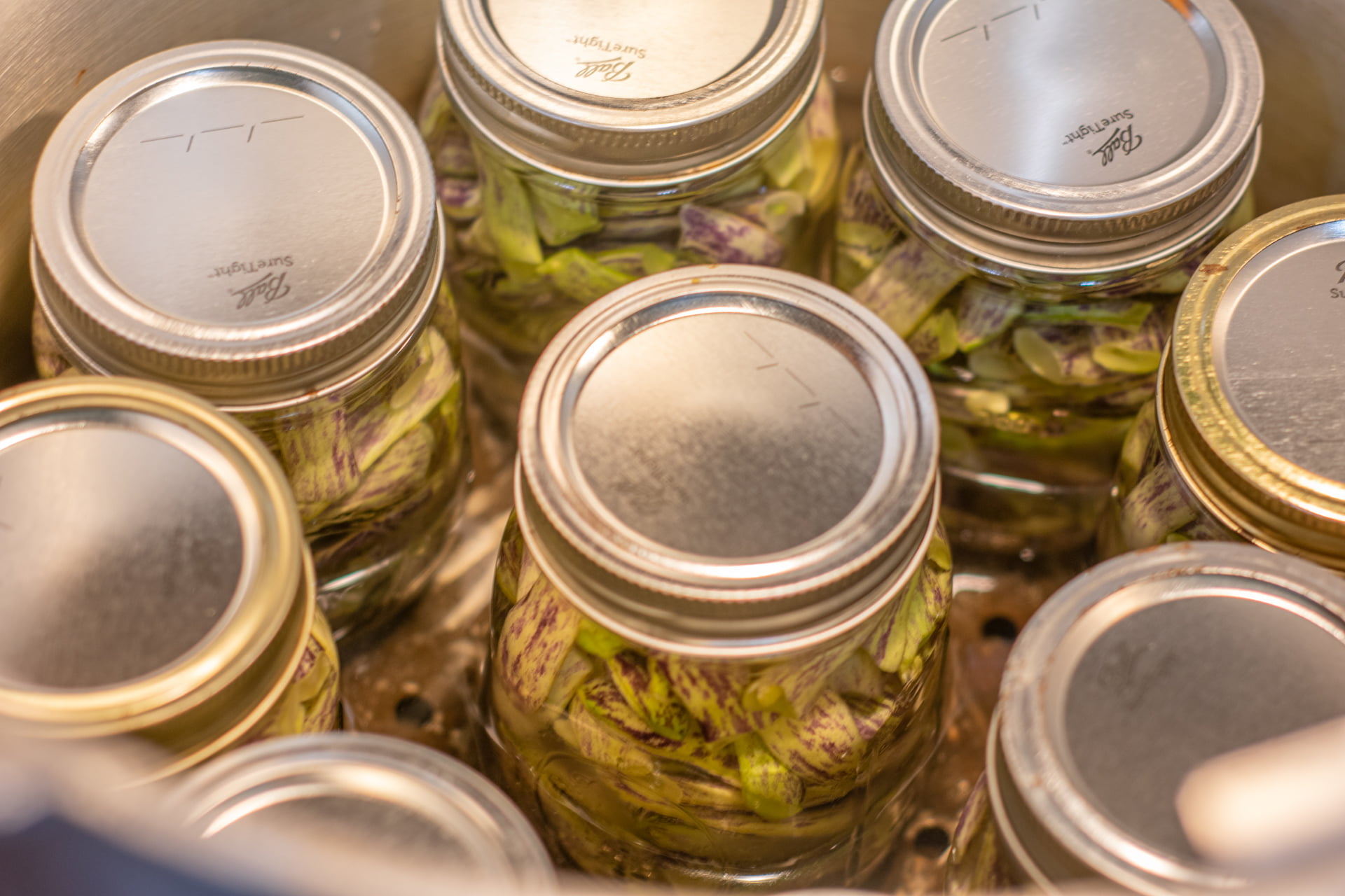 Green beans in canner ready for processing
